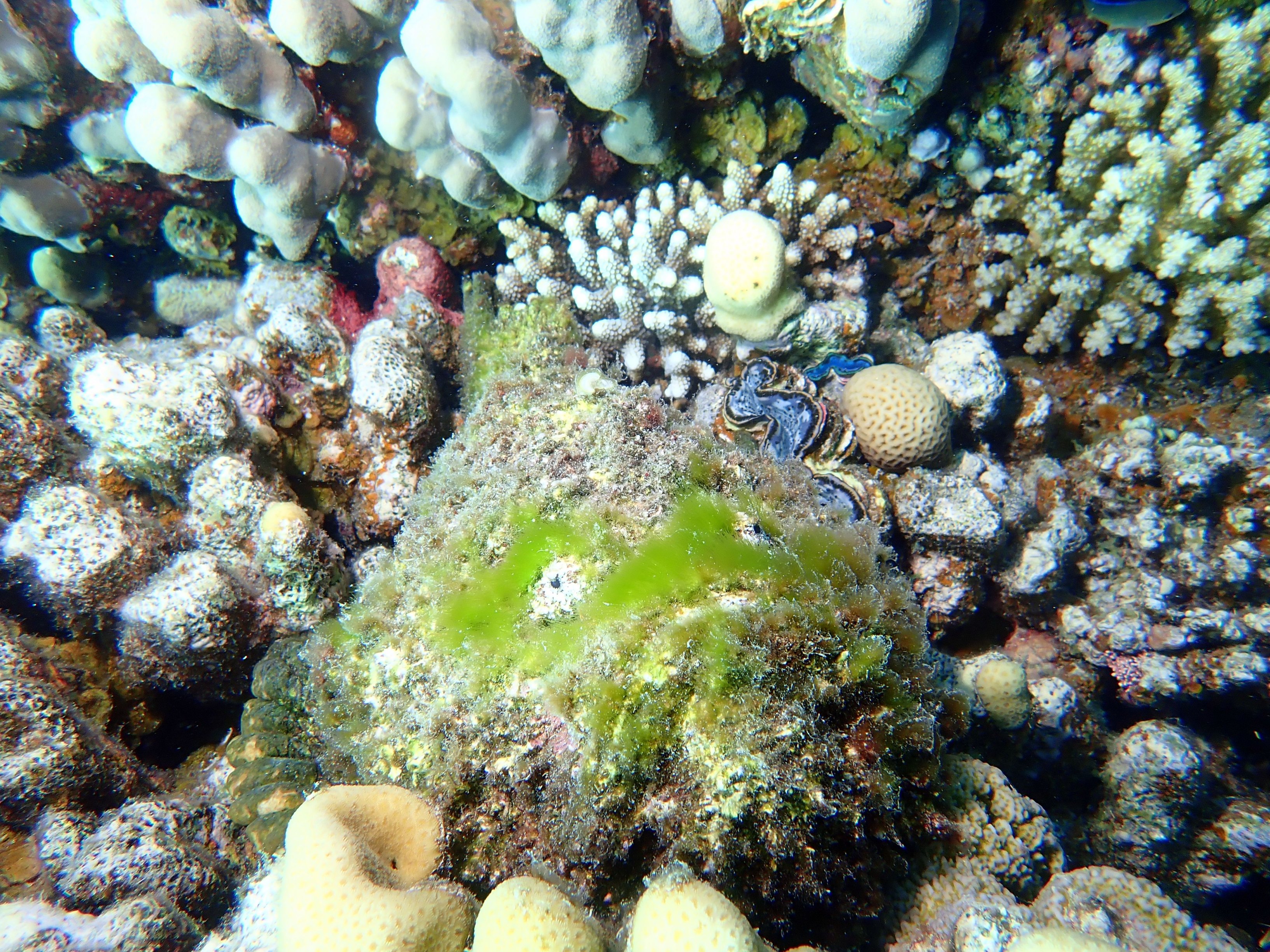 image 6 von 71
