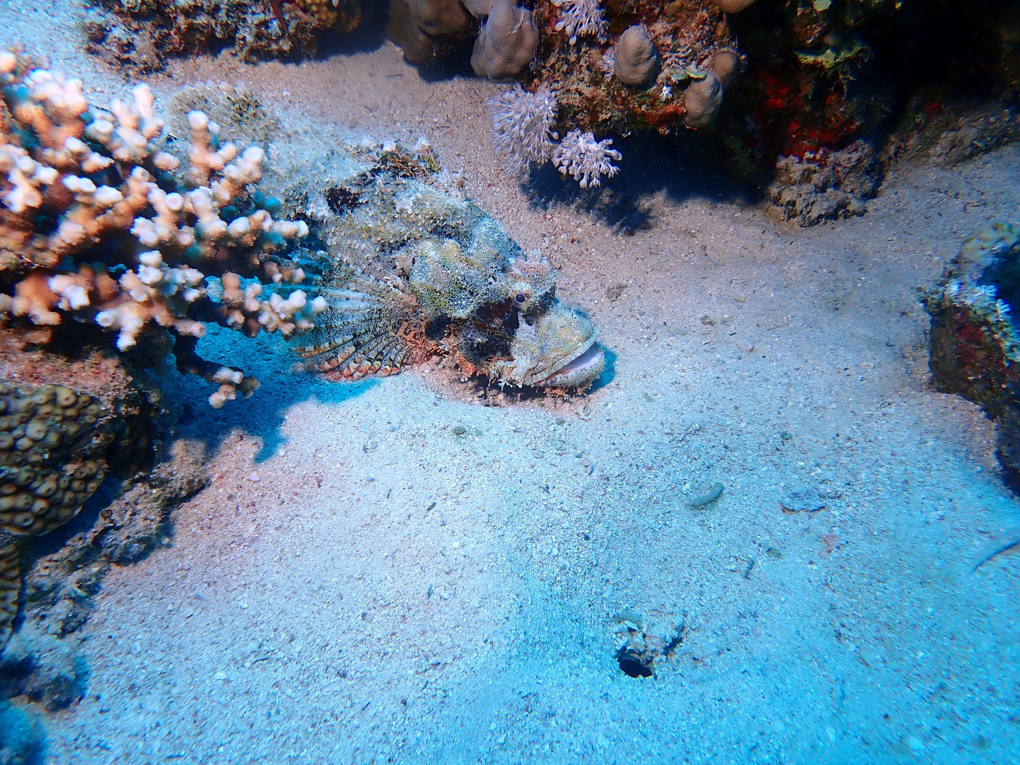 image 62 von 71