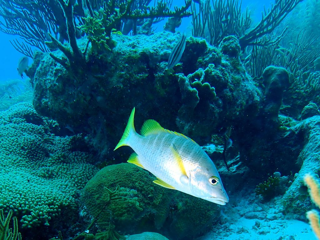 2020 Bonaire - Web 24 von 288