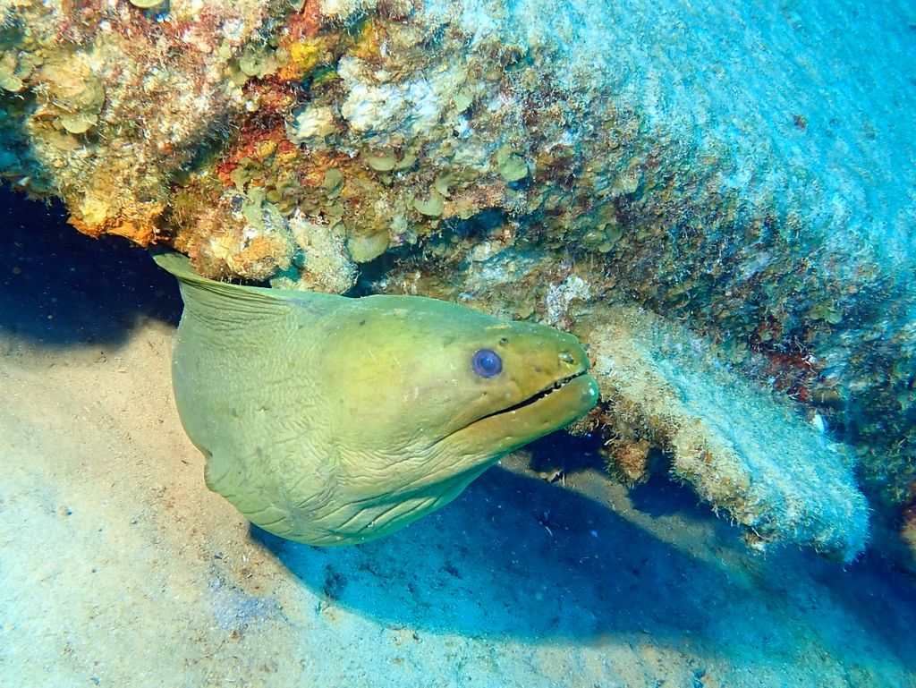 2020 Bonaire - Web 98 von 288