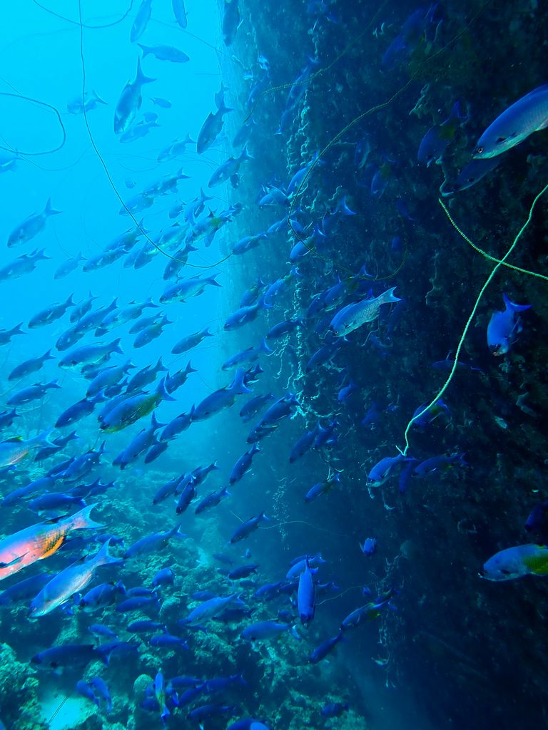 2020 Bonaire - Web 103 von 288