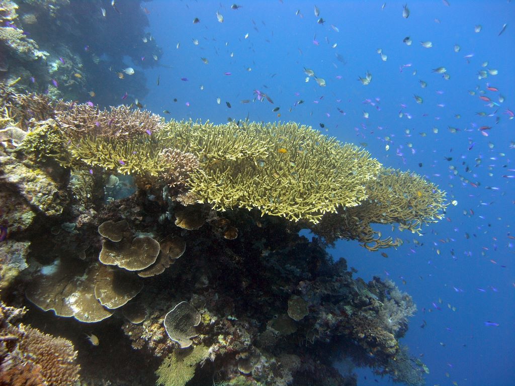 p1010332.jpg