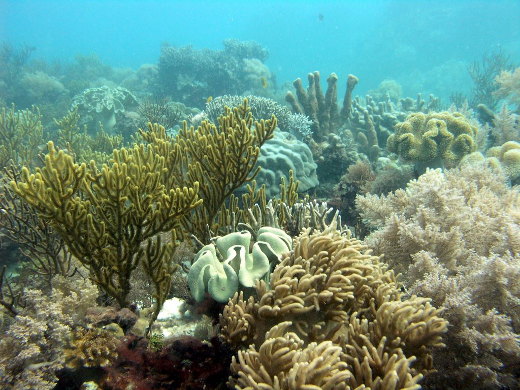 p1010817.jpg