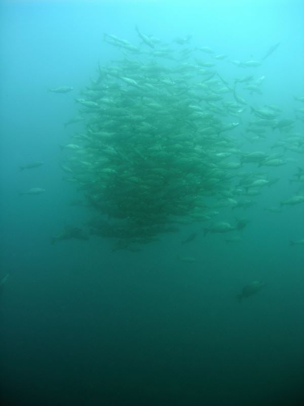 p9280330.jpg