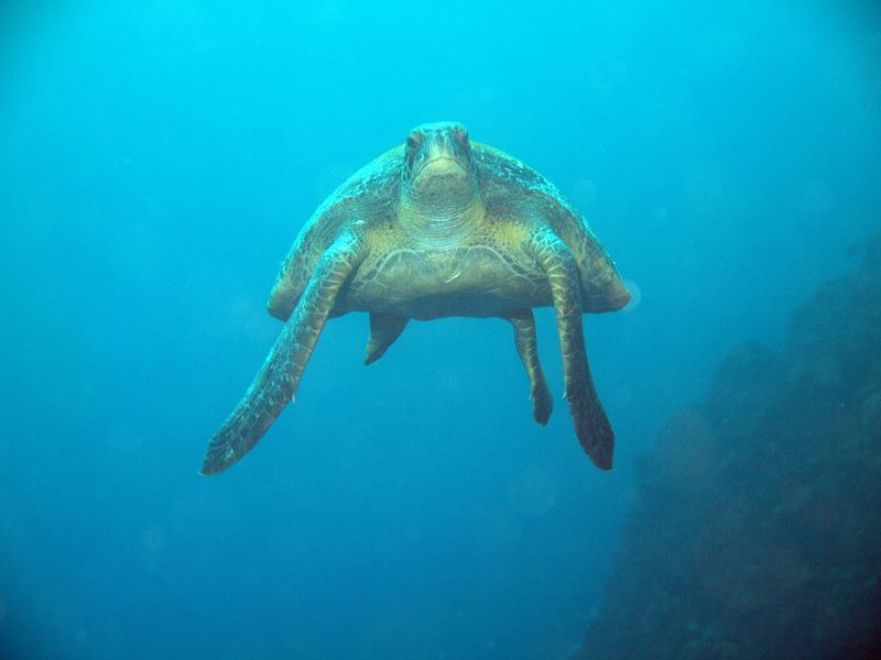 pa051512.jpg
