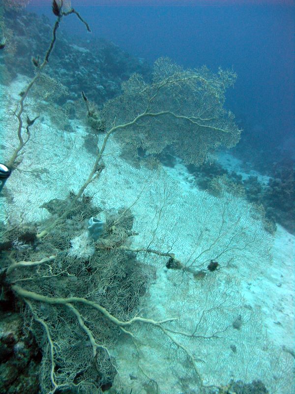 p1010641.jpg