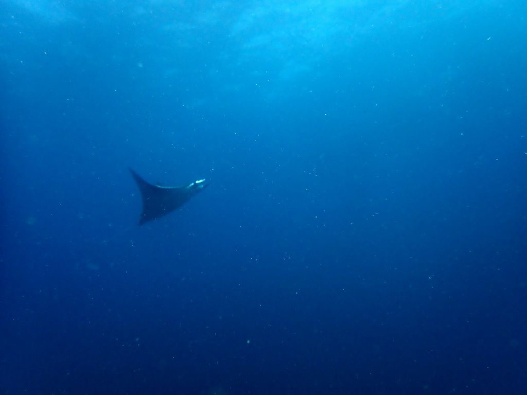 Galapagos2 113 von 178