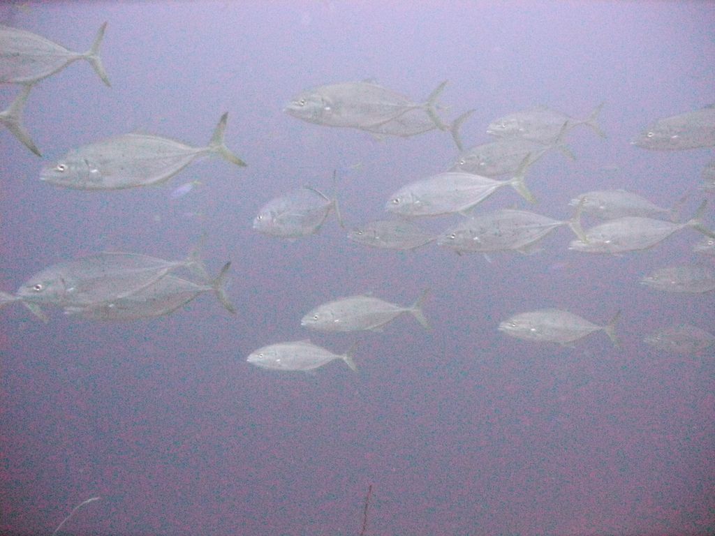 Indonesien 2012