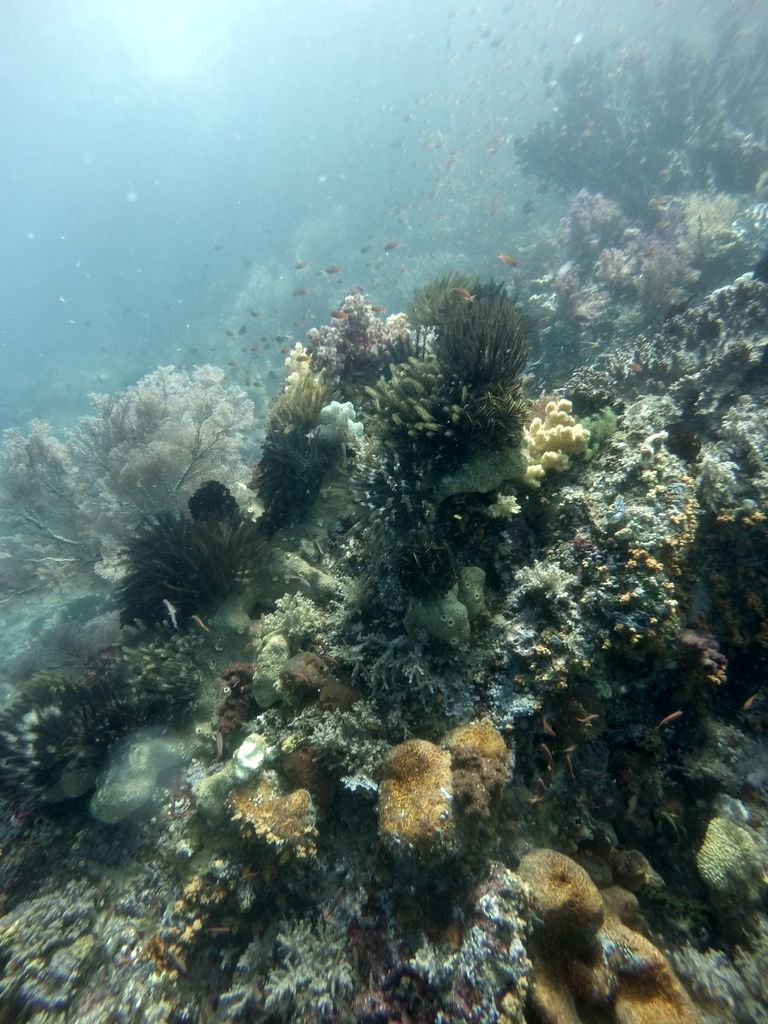 gopr0694.jpg 