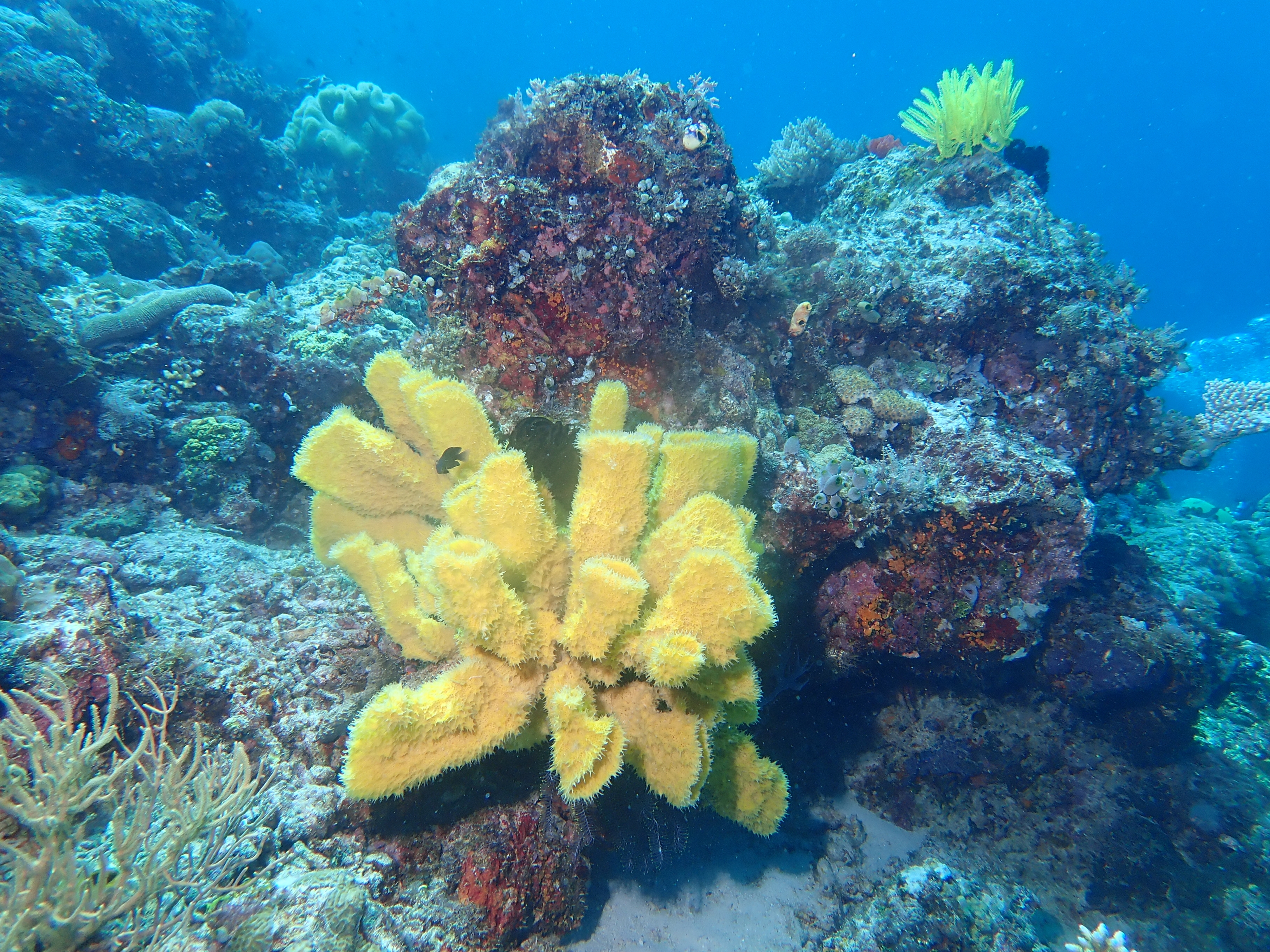 Indonesien6 35 von 164