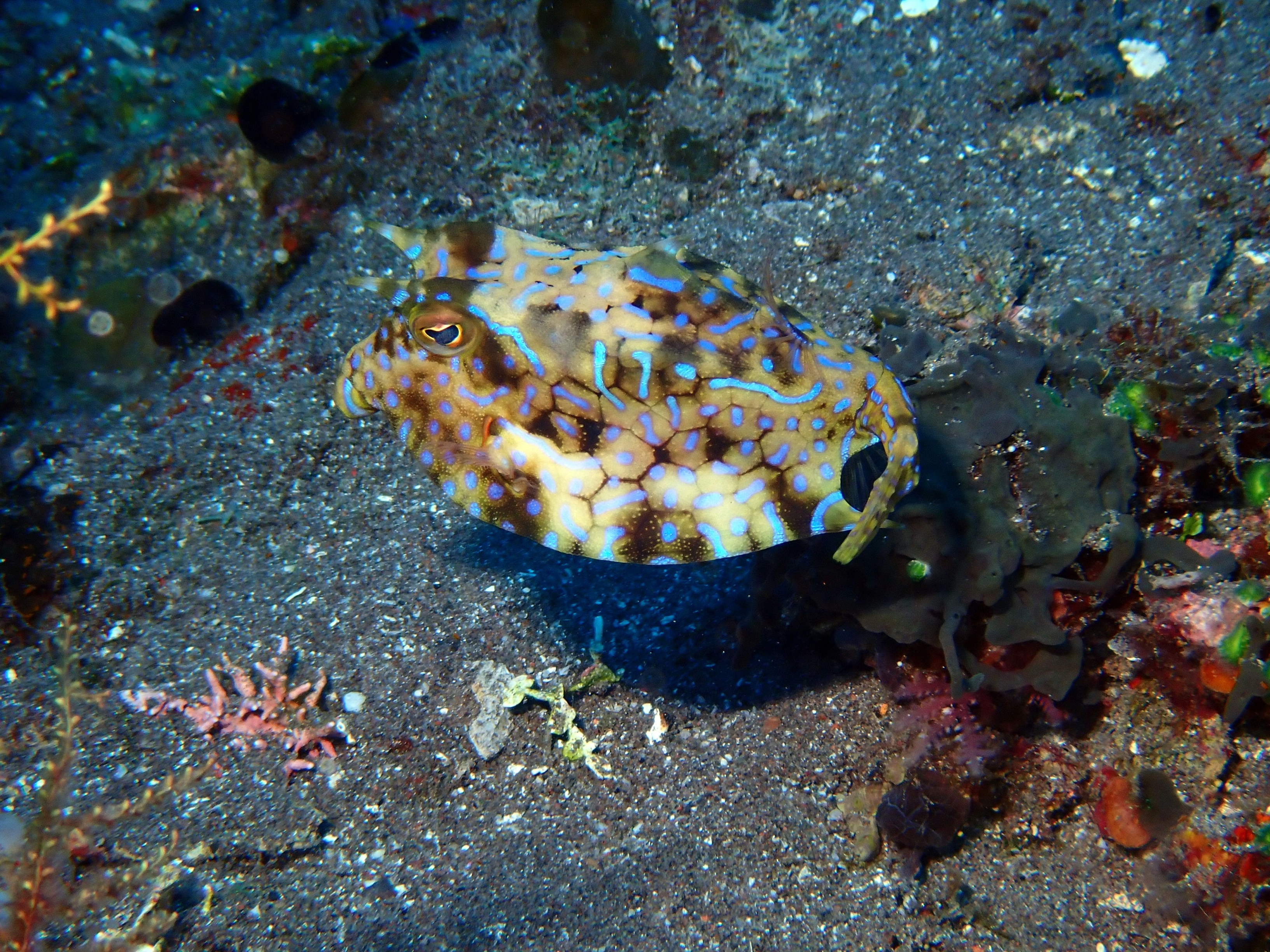 Indonesien6 71 von 164