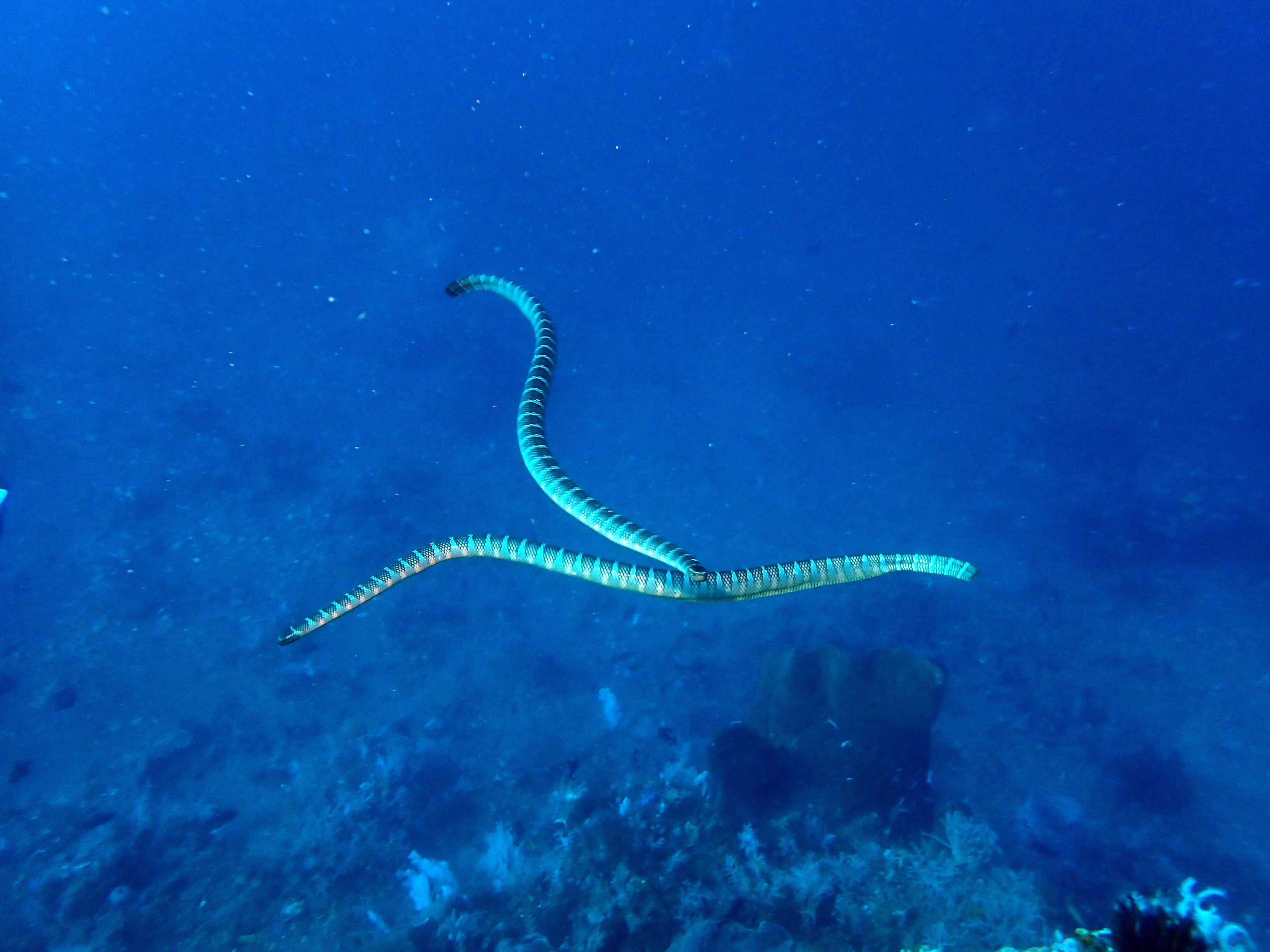 Indonesien6 112 von 164