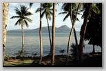 Blue Lagoon Resort - Palmen Bild, ohne Titel