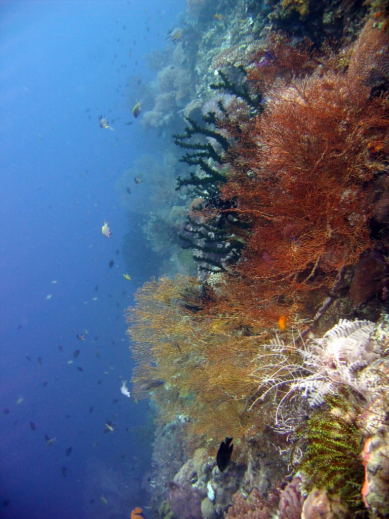 hh_2011_04_11_07_45_0127.jpg