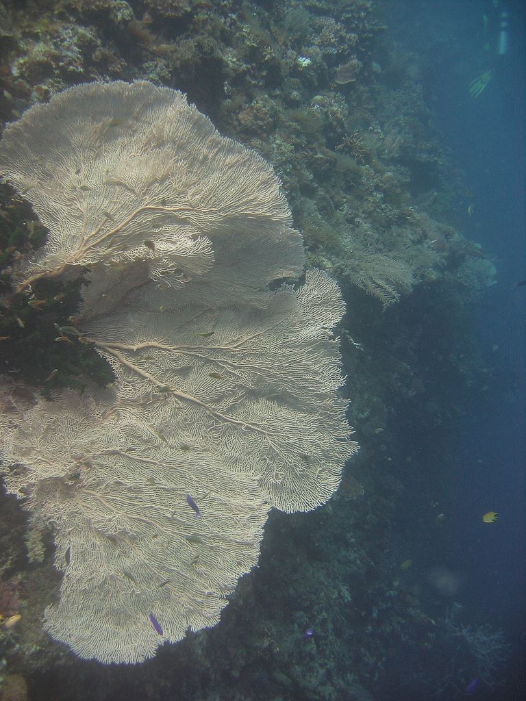 hh_2011_04_18_02_50_0780.jpg