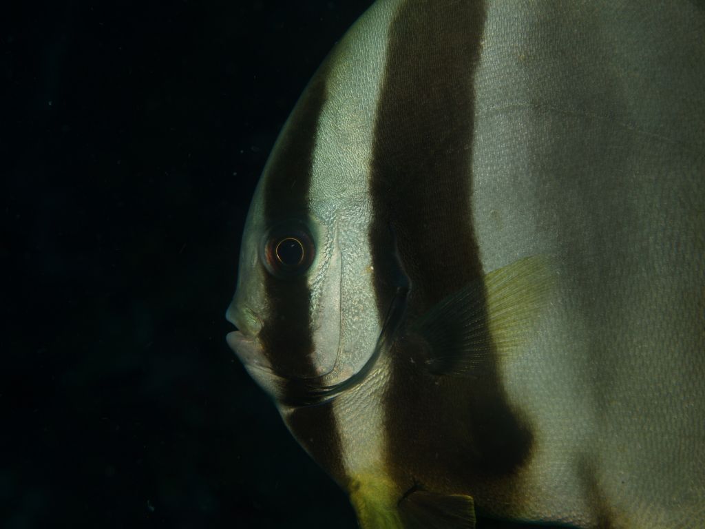 pb205617.jpg