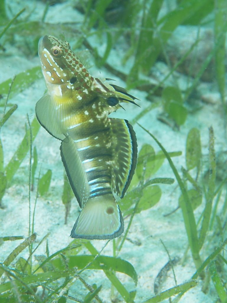 pb286027.jpg