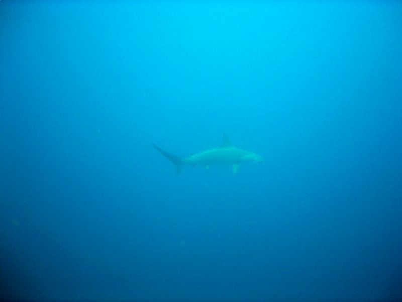 img_5980.jpg